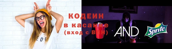 гашик Куйбышев